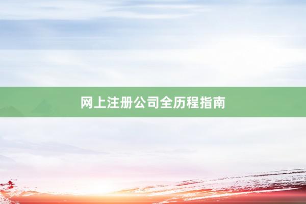 网上注册公司全历程指南
